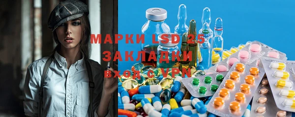 сатива Магас