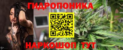 гашик Канаш