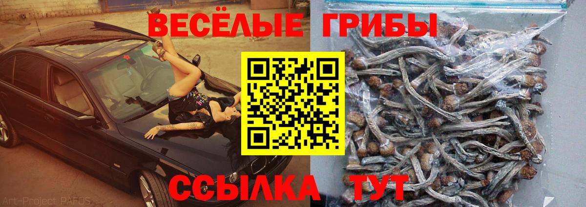 Псилоцибиновые грибы Magic Shrooms  Вход с VPN  Лосино-Петровский 